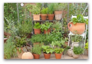 How to grow a vetical vegetable garden