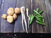 Fresh from the garden - organic homegrown produce